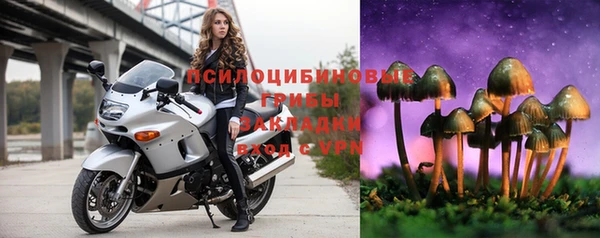 дживик Балахна